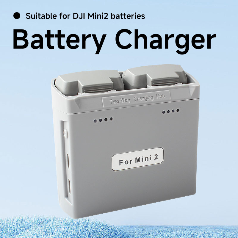 Hub de charge bidirectionnel p - Drone Battery Smart avis et prix